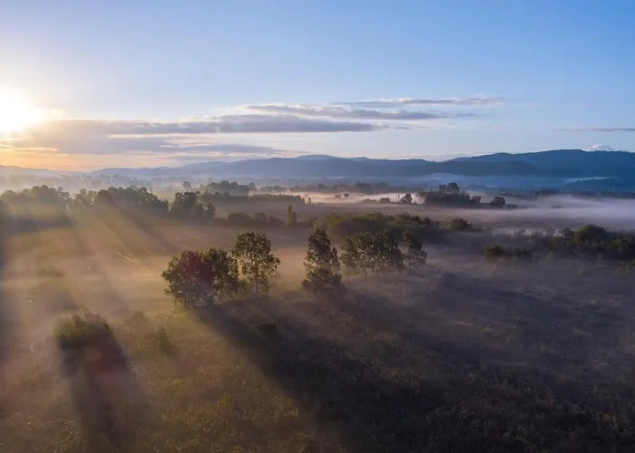 Marine Отель Акьяка