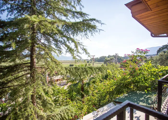 Hotel Marine Akyaka (Mugla)